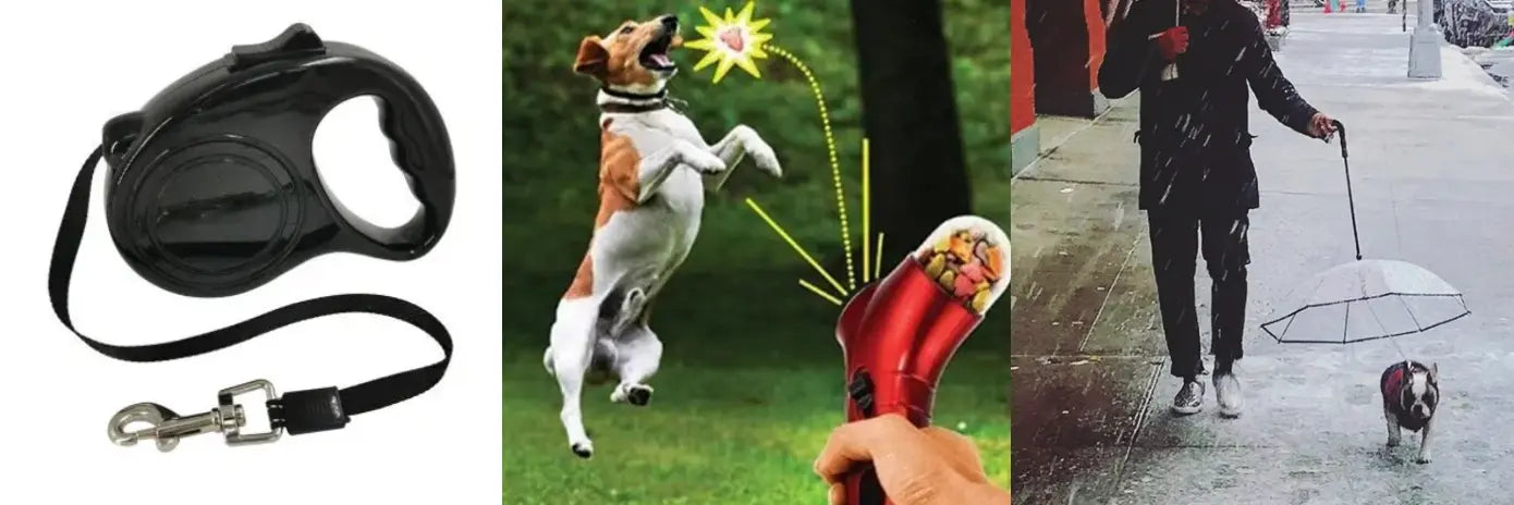 Catapult, Retractable leash and transparent umbrella for your dogs - Image #1